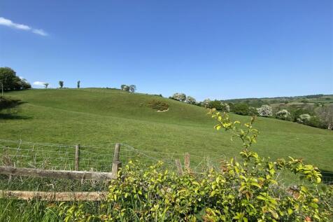 IMG_0628.jpeg