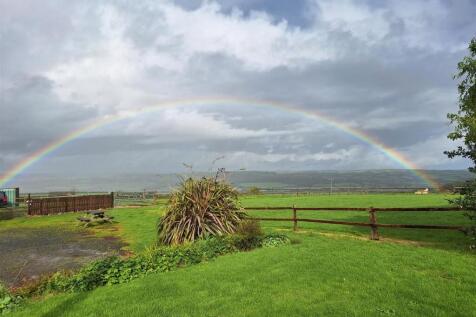 rainbow paddock.jpg