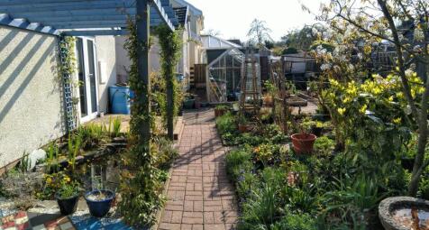 thumbnail_IMG_20250409_163646.jpg