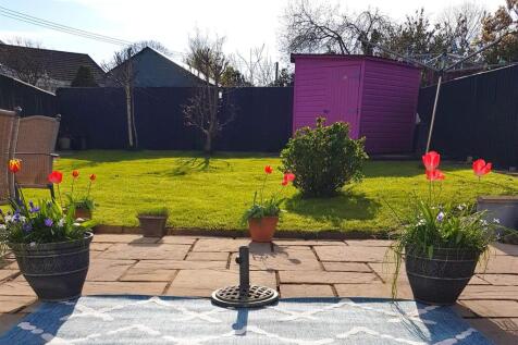 Garden- Tamara.jpg