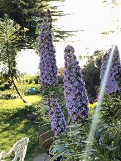 IMG_8866.JPEG