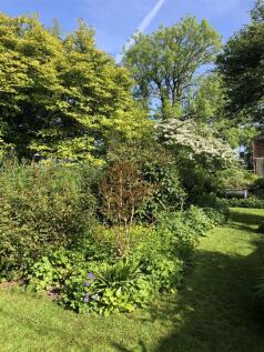 IMG_5777.JPEG
