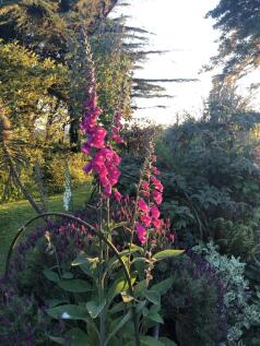 IMG_6364.JPEG