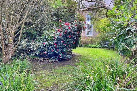 Garden 4.jpg