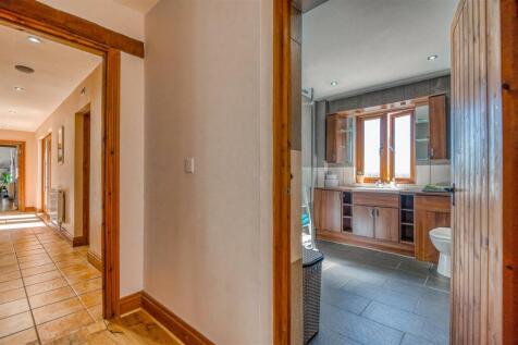 _DSC4873_HDR-DeNoiseAI-clear.jpg