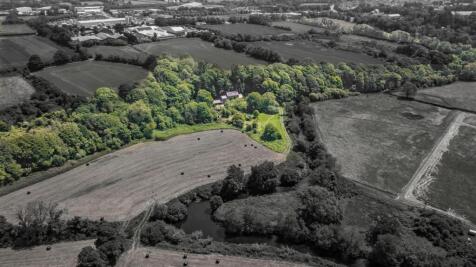 DJI_0339.jpg