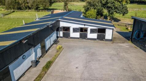 DJI_0582.jpg