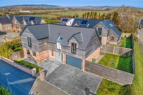 DJI_0374_HDR-DeNoiseAI-clear.jpg