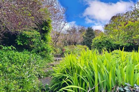 Garden 7.jpg