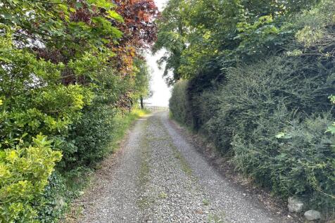 Trewen driveway.jpg