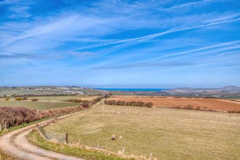 _DSC2736_HDR-DeNoiseAI-clear.jpg