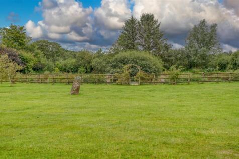 _DSC3665_HDR-Edit.jpg