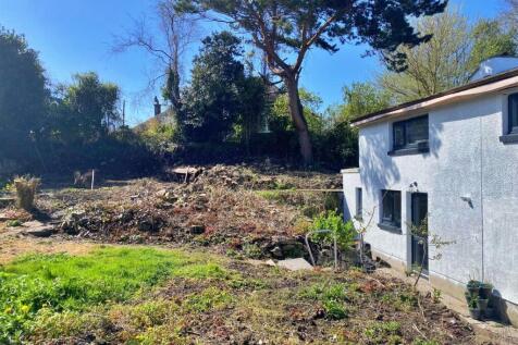 Back garden 2.jpg