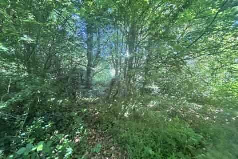 IMG_7535.jpeg