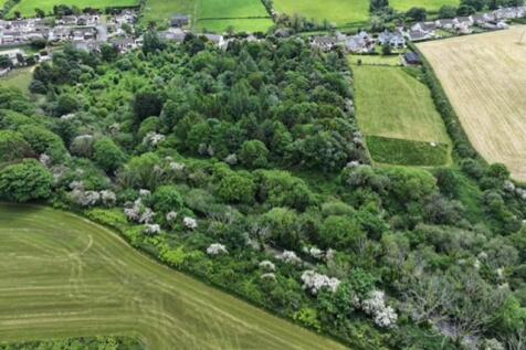 Ariel shot 3.jpg