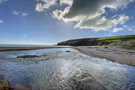 devon 1.png