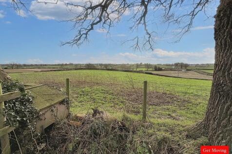 Field Views 