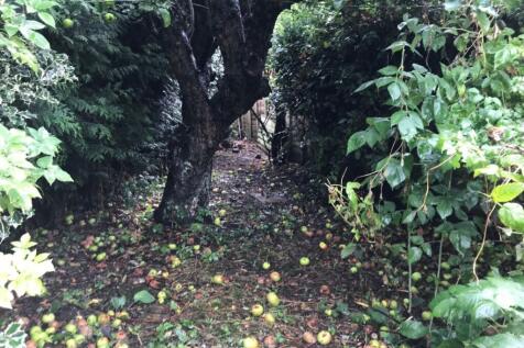 Property Image 25