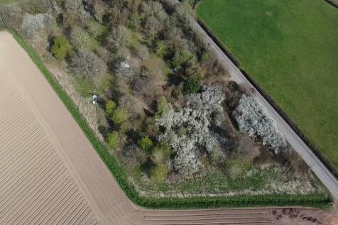 dji_fly_20250402_153809_0_1743604689097_photo_low_