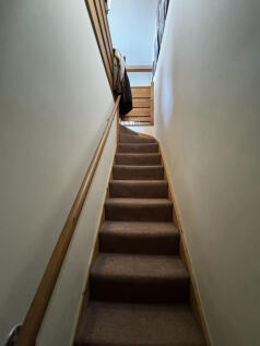 CA7IMG_3776.jpg