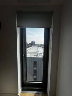1203TTIMG_8119.jpg