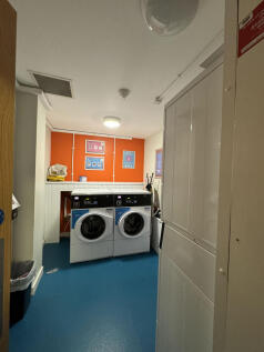 chronicle71223IMG_2622.jpg
