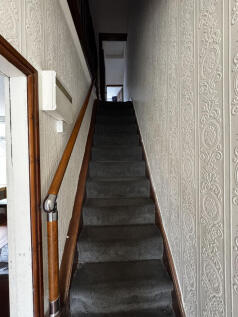 hannanrd9484IMG_0550.jpg
