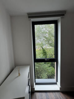 gc984749545IMG_2236.jpg
