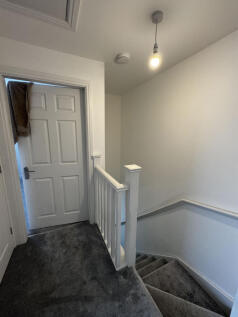 warringtonIMG_33243lflwr (25).jpg