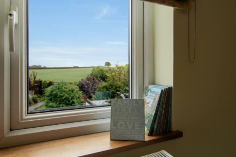window-view-.jpg