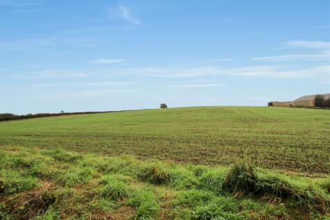 field-1-1.jpg
