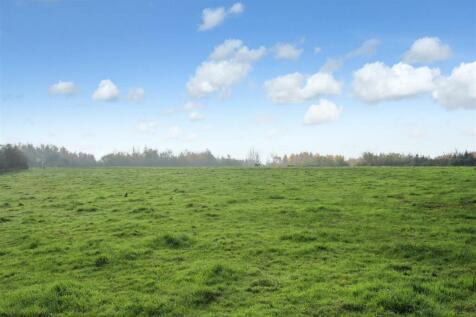 cow-field-.jpg