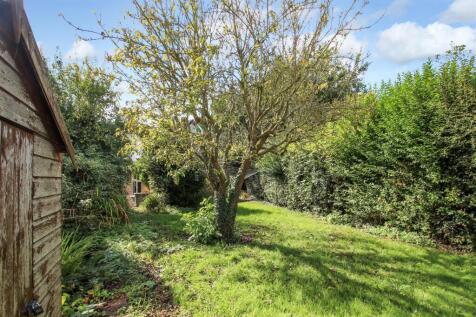 garden-3-.jpg