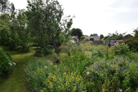 DSC_0455.JPG