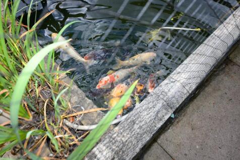 Property Image 37