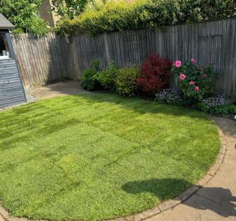 Littleton Street garden.jpeg