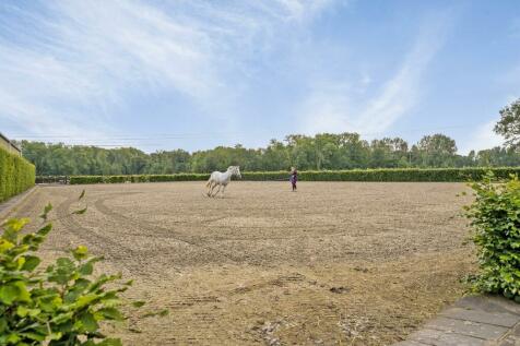 Soeterbeekseweg 21 5674 NJ NUENEN image 42