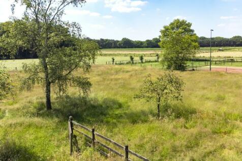 Nieuwkuikseweg 14 5268 LG HELVOIRT image 61