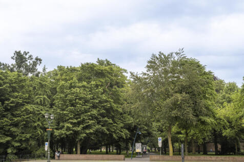 Kasteelplein 63 4811 XC BREDA image 38