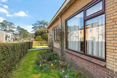 Boslaan 4 8899 BN VLIELAND image 8