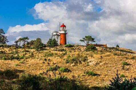 Boslaan 4 8899 BN VLIELAND image 67