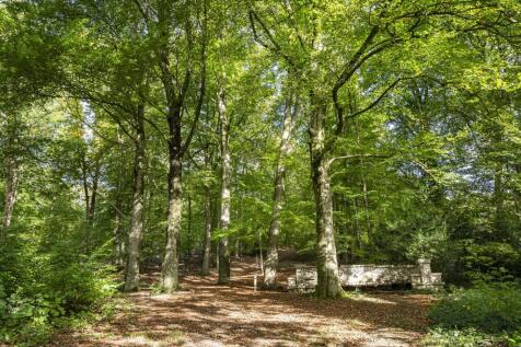 Pinkenbergseweg 37 6881 BC VELP image 45