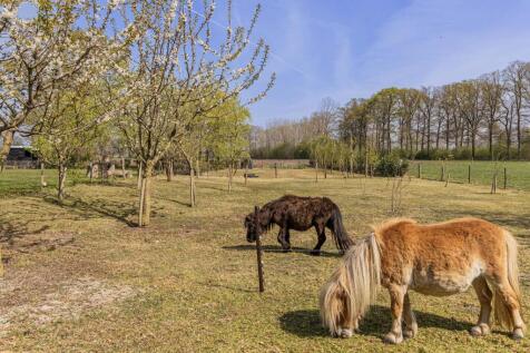 Ypeloweg 18 a 7642 NT WIERDEN image 45