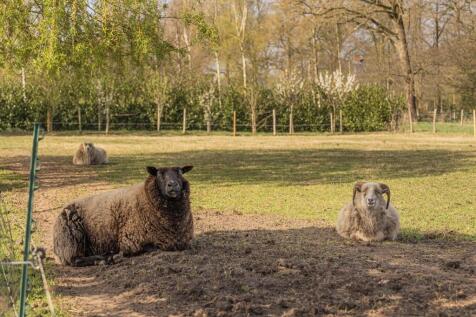 Ypeloweg 18 a 7642 NT WIERDEN image 46