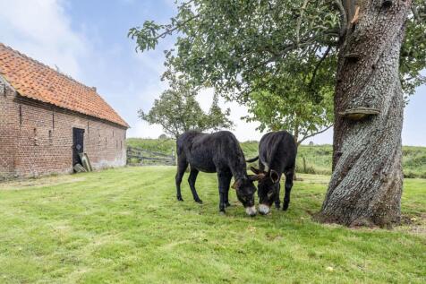 Steenhovensedijk 17 4508 KA WATERLANDKERKJE image 24