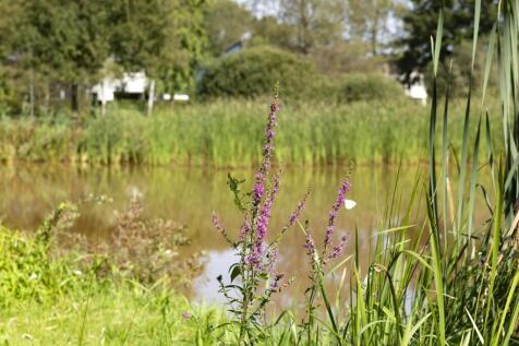 Eikenven 29 5062 AD OISTERWIJK image 44