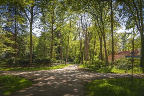 Bosweg 6 7214 ET EPSE image 67