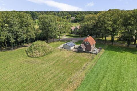Oldendiever 6 7981 LT DIEVER image 3