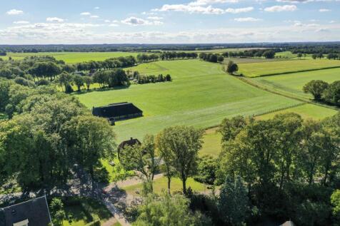 Oldendiever 6 7981 LT DIEVER image 7