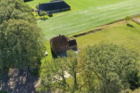 Oldendiever 6 7981 LT DIEVER image 9